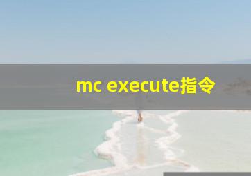 mc execute指令